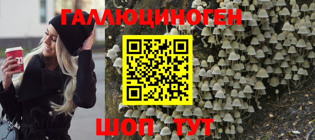 Нарткала  Псилоцибиновые грибы прущие грибы  Вход с VPN 